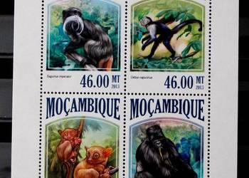 Mozambik ( małpa ) 1