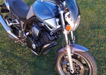 Yamaha bulldog 1100.