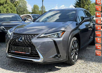 Lexus UX 250 Hybrid Skóra Ful LED Premium