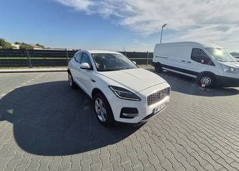 Syndyk sprzeda Jaguar E-PACE, WF6712W