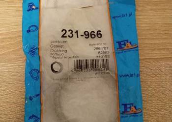 Pierścień uszczelniający wydechu Fa1 231-966