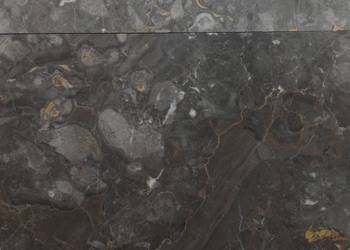 Płytki z marmuru Anthracite Gold 60 x 60 x 2 cm