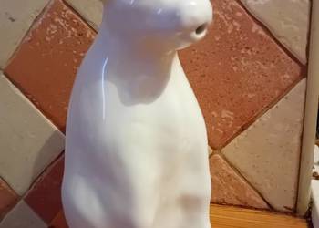 Mlecznik krówka duży