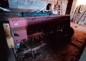 Siewnik,brony , maska