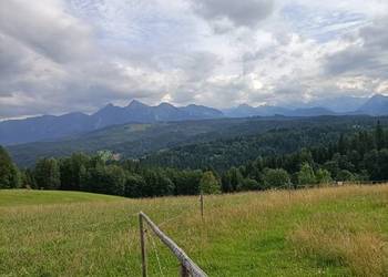 Jurgów pokoje tanio