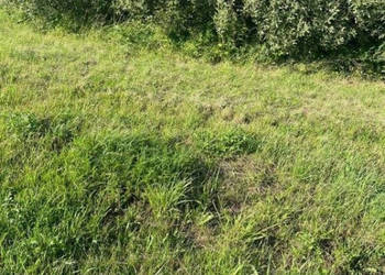 Sprzedam grunt Międzyzdroje 1000m2
