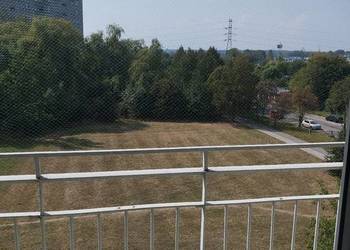 Wynajmę mieszkanie 2 pokoje miejskie C.O