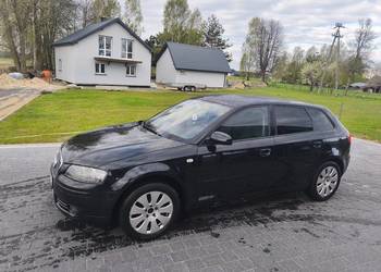 Audi A3 8P 2.0Tdi