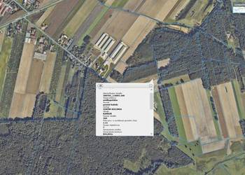 Działka rolna 1,11 ha – spokojna okolica | gmina Ceków | dobra inwestycja