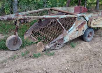 Kopaczka elewatorowa do ziemniaków