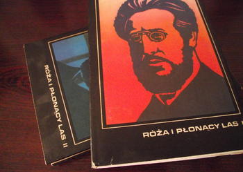 "RÓŻA I PŁONĄCY LAS"- Tadeusz Hołuj
