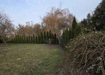 Działka ROD " WIOSNA"