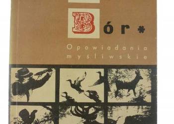 DARZ BÓR OPOWIADANIA MYŚLIWSKIE