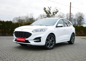 Ford Kuga 1.5 EcoBlue 120KM Eu6 St-Line -Automat 8b. -Nowy rozrząd kpl -Zo…