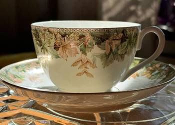 Filiżanka CT  Altwasser