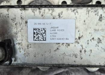 Chlodnica oleju jaguar xe 2.0 disel