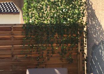 Sztuczny bluszcz 50 m na ścianę balkon taras dekoracja 50 metrów dekoracja