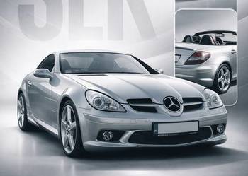 Mercedes-Benz SLK R171 Pakiet AMG 163KM 2005 Cabrio Manual Skóra Sport