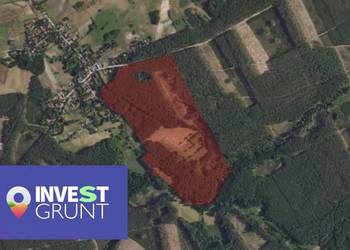 Dzierżawa gruntu rolnego [8,87 ha]