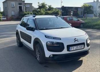 C4 cactus zamiana