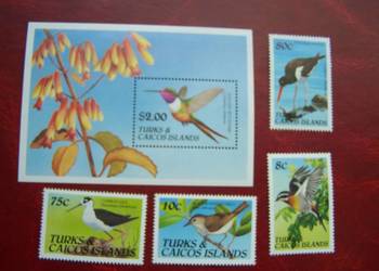 Turks& Caicos 1990 MNH Fauna Ptaki Koliber  a