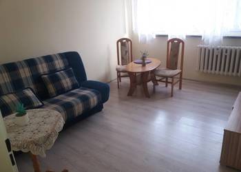 Gliwice, mieszkanie do wynajęcia