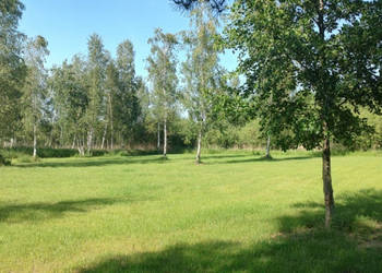 MAZURY Działka nad jeziorem Roś z dostępem do linii brzegowej i pomostu - …