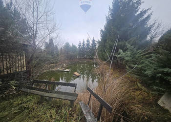 Działka Rod ze stawem do własnej aranżacji!