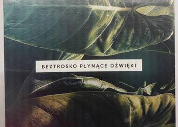 Beztrosko płynące dźwięki płyta CD, muzyka medytacyjno - relaksacyjna, 