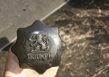 AMORTYZATOR SKRĘTU TRIUMPH TWN BDG B204 250 200