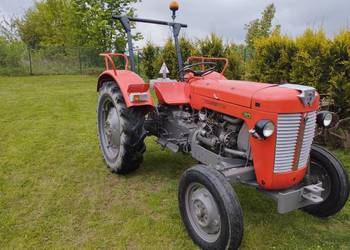 Ciągnik rolniczy Massey Ferguson MF 30