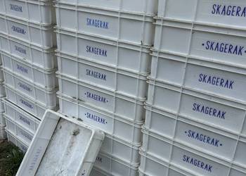 Skrzynie na ryby-skagerak