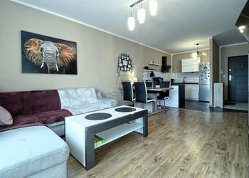 Jasne 2 pokoje z loggią – Magnolia Park, 2018 r.