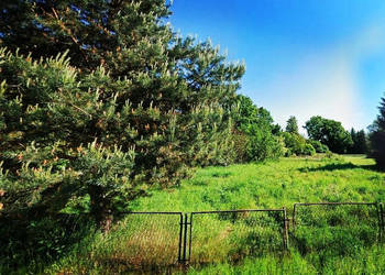 Kameralna działka budowlana