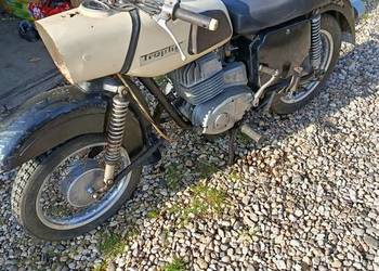 MZ ES 250 Trophy