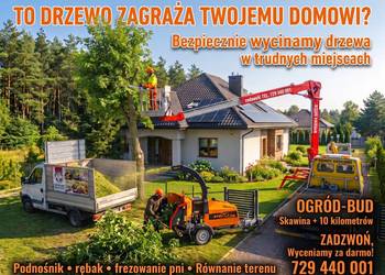 Wycinka przycinka drzew Podnosnik koszowy Rębak do gałęzi Frezarka do pni