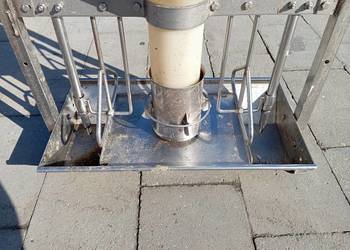 Automat paszowy dla świń, trzoda chlewna
