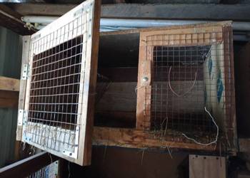 Sprzedam klatki dla królików