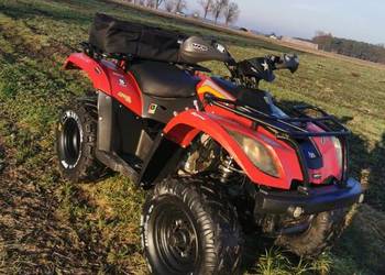 Quad Linhai Hytrack 300 z homologacja l7e