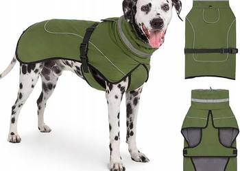 Kurteczka Axcimond zielony L