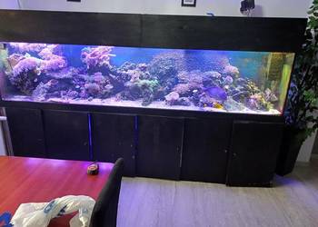 Akwarium 1260l okazja!