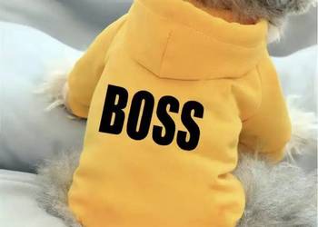 Nowa bluza z kapturem ubranko ubranie dla psa Boss M