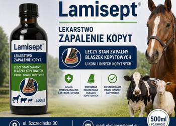Lamisept Ochwat lekarstwo zapalenie kopyt