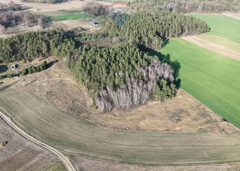 Działka budowlana wz las jeziora Pniewy Psarce