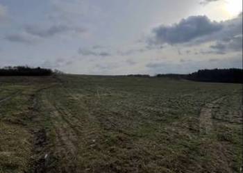 Do wynajęcia 70 ha blisko autostrady A-4 Małopolskie/Śląskie