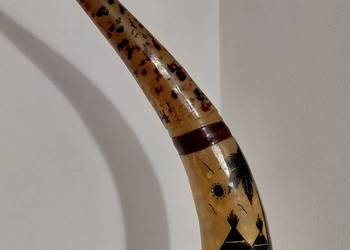 Róg Watussi Senegal