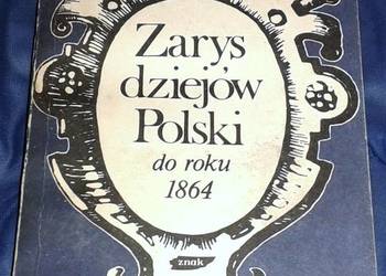 Zarys dziejów Polski do roku 1864 - Władysław Czapliński
