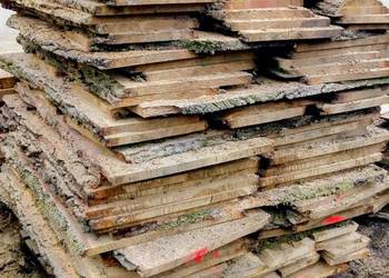 Tarcica Dąb calówka długość 120cm