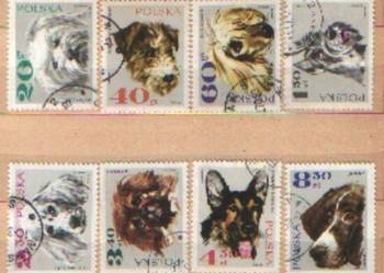 Zn. Fi 1751 - 8 kas 1969