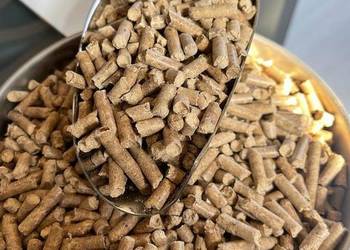 Quality Wood Pellets